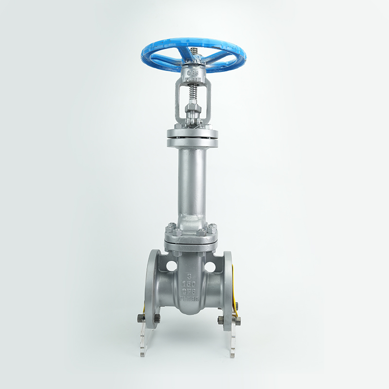 bellow gate valve SS304